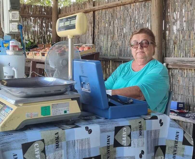 Bomporto Furto al chiosco della frutta: presi la borsa e il portafogli 