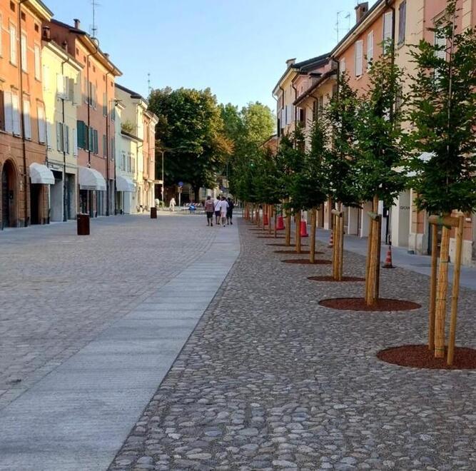 Carpi. Non c’è pace per corso Roma È polemica anche sugli alberi 