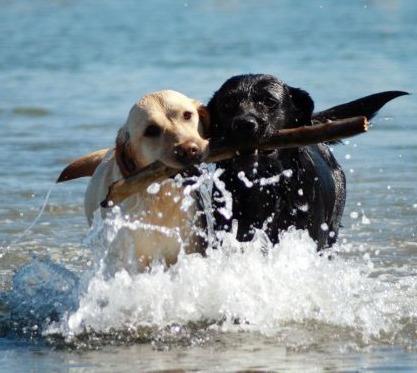 Lidi blu, bagni sostenibili. Vota la struttura più all’avanguardia