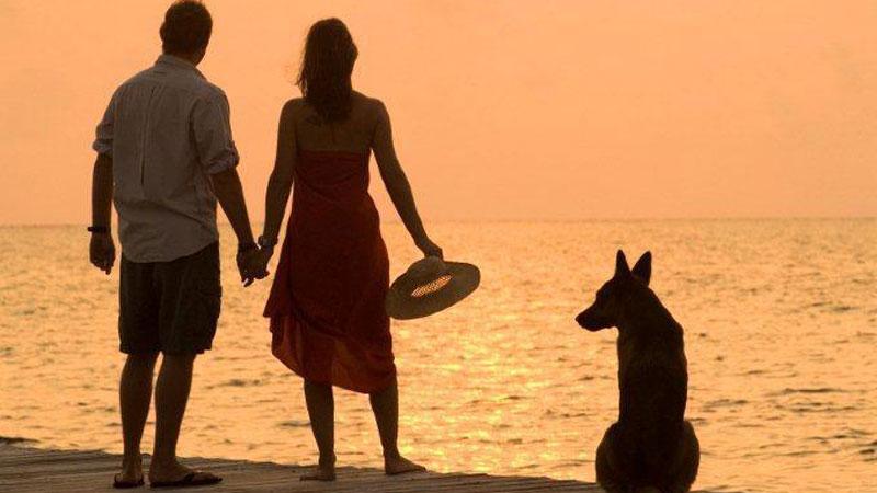 Lite per il cane sulla spiaggia a Marina di Pietrasanta, il bagnino dà un pugno al bagnante