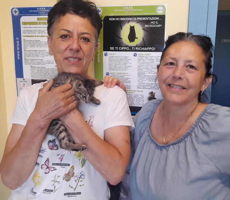 Pistoia, cucciolate estive e abbandoni: emergenza gatti al “Rifugio” Enpa
