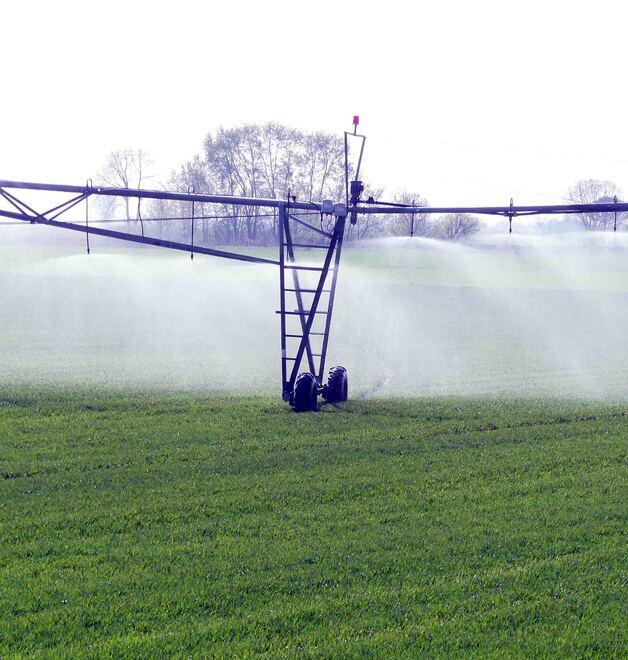 Ferrara, caldo record anche nei campi: «Bruciano piante e frutti»