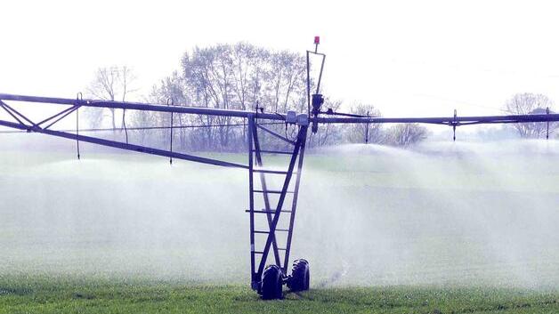 Ferrara, caldo record anche nei campi: «Bruciano piante e frutti»