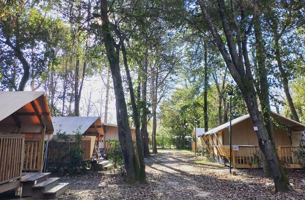 Il Comune di Viareggio deve risarcire il camping Bosco Verde di Torre del Lago