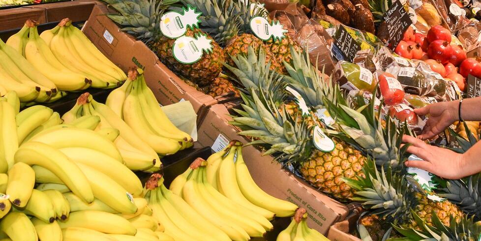 Maremma, «l’inflazione è superiore al 12%». Fare la spesa costa 719 euro in più