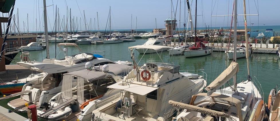 I primi venti anni del Porto