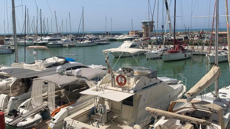 I primi venti anni del Porto