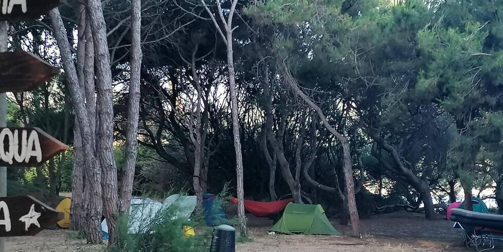 Uno degli scatti fatti al campeggio abusivo sotto la pineta di Baratti