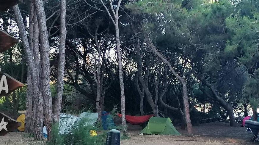 Uno degli scatti fatti al campeggio abusivo sotto la pineta di Baratti