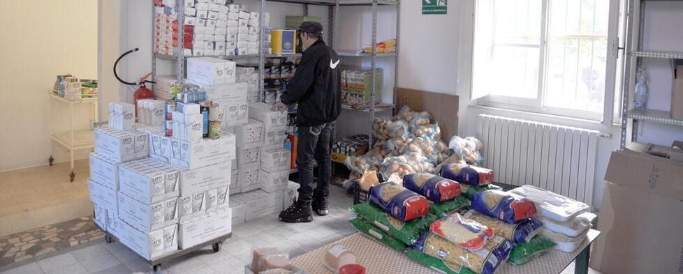 Rosignano, razziati 180 chili di patate