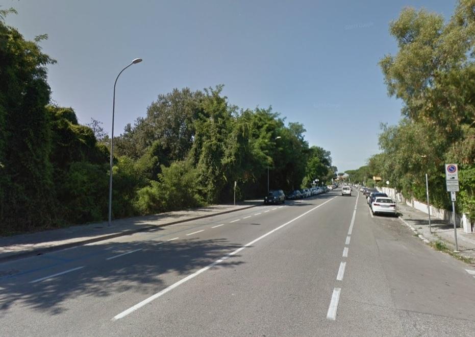 Piano antincendio del litorale pisano: taglio del bosco su via del Tirreno