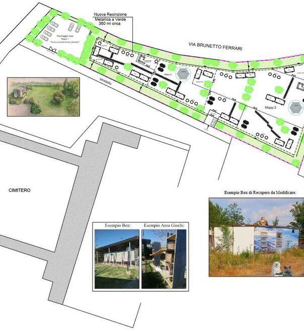 Un’oasi felina a Sant’Ilario: progetto pronto a partire