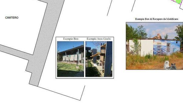 Un’oasi felina a Sant’Ilario: progetto pronto a partire