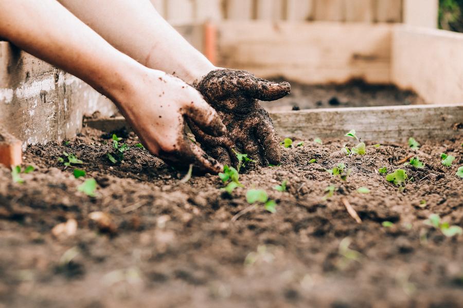 Elenchi di persone disponibili a lavorare in aziende agricole