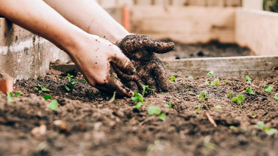 Elenchi di persone disponibili a lavorare in aziende agricole