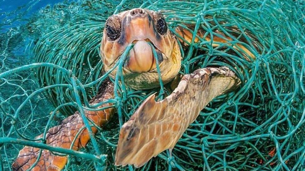 Reti biodegradabili e ami selettivi: la pesca cambia ed è più sostenibile<br type="_moz" />