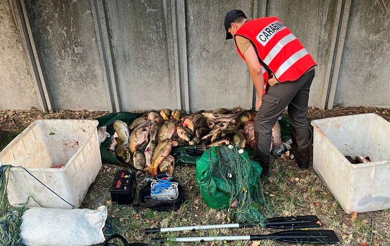 Ostellato, scoperti e denunciati tre pescatori di frodo