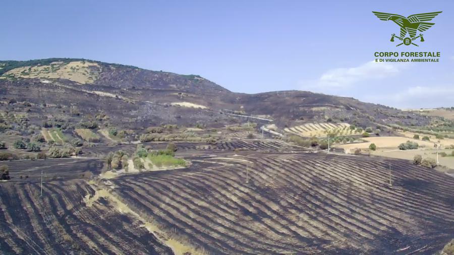 
	Area colpita dalle fiamme

