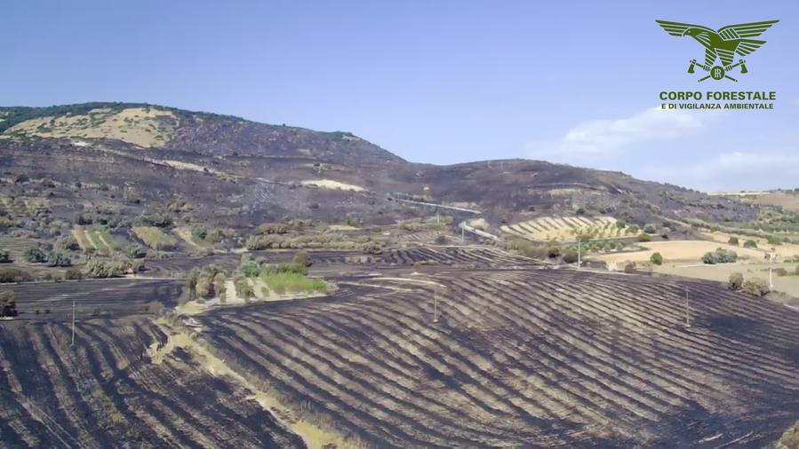 Area colpita dalle fiamme