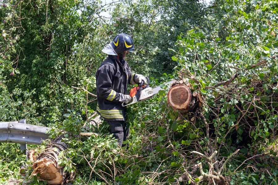 
	Vigili del fuoco al lavoro (foto archivio)

