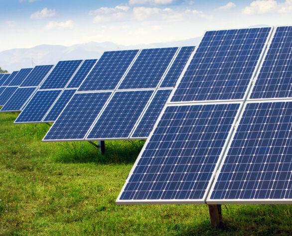 Cuoio, imprenditori italiani e israeliani per un mega impianto fotovoltaico