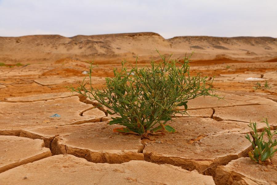 Verso una guerra per l’acqua