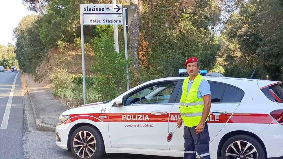 Quercianella, col tir sull'Aurelia: conducente multato e patente ritirata<br>