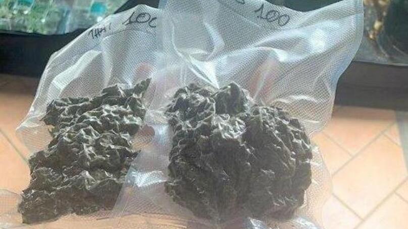 La marijuana rinvenuta a casa dell’uomo di 32 anni che ha reagito alla perquisizione aggredendo i carabinieri