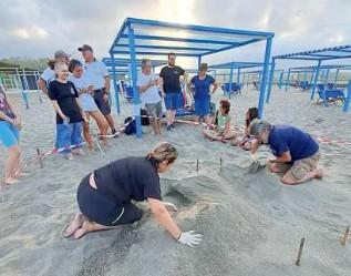 La spiaggia di Forte di Marmi diventa la nursery delle tartarughe