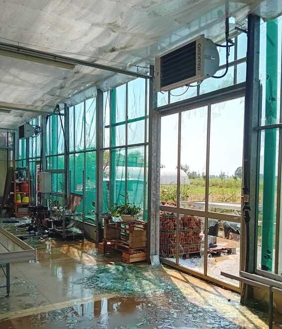 Buonacompra, devastazione al garden: «Un frastuono terribile»