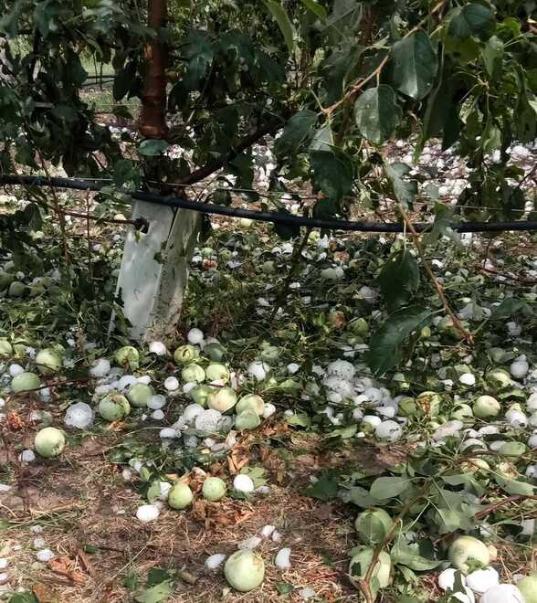 Ferrara, via crucis nei campi: «Chiediamo subito lo stato d’emergenza»