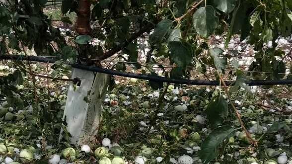 Ferrara, via crucis nei campi: «Chiediamo subito lo stato d’emergenza»