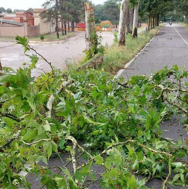 Danni nei campi dell’Argentano: «Cosa mai vista, rovinati anche i mezzi»