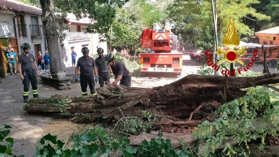 Albero pericolante a Santu Lussurgiu, messo in sicurezza dai vigili del fuoco