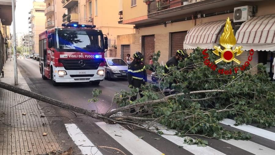 Sassari, paura in via Dei Mille: crolla un enorme ramo e danneggia un’auto