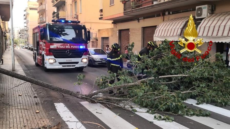 Sassari, paura in via Dei Mille: crolla un enorme ramo e danneggia un’auto