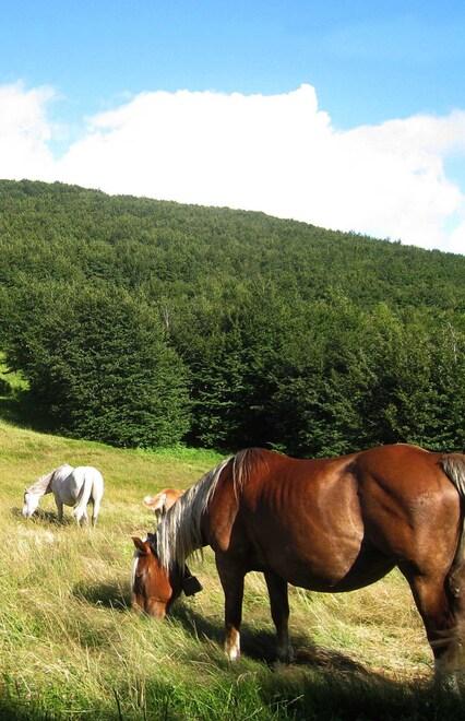 Quattro milioni alla Riserva di Biosfera