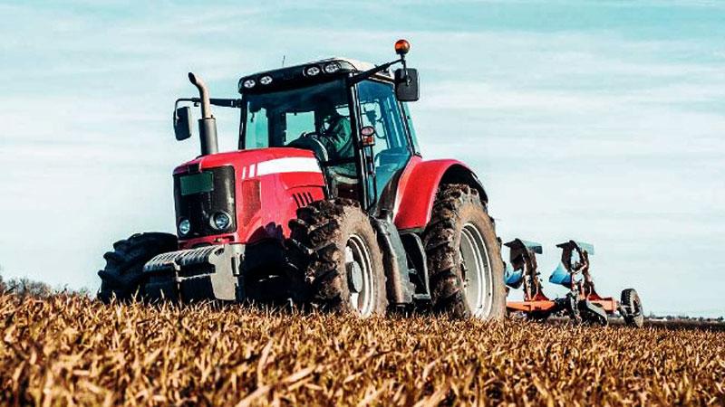 Lucca, la combinazione pioggia-caldo mette a rischio le coltivazioni