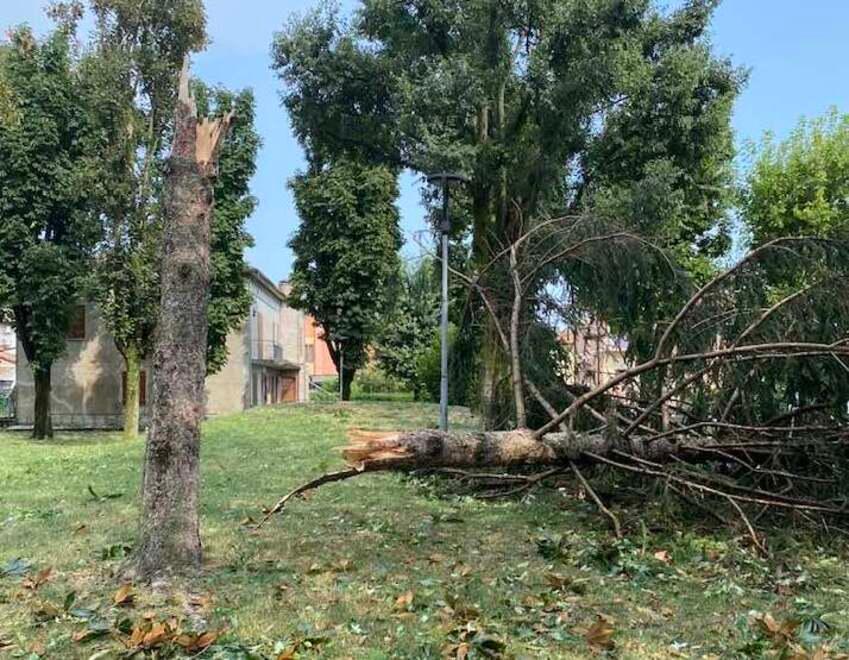 Modena. «Qui è un disastro continuo: serve lo stato di calamità» 