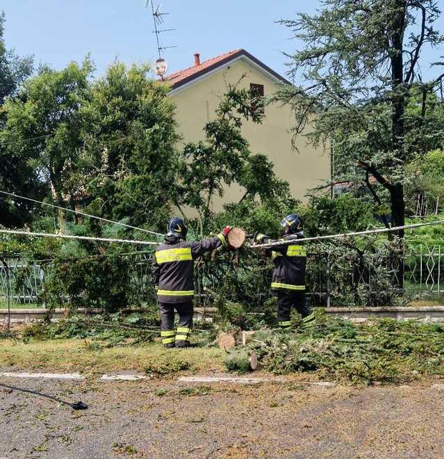 Modena. «I chicchi diventano giganti spinti in alto dal vento: quando cadono è un disastro» 