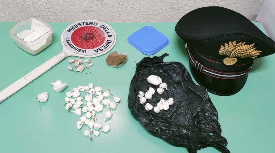 
	Gli stupefacenti sequestrati dai carabinieri

