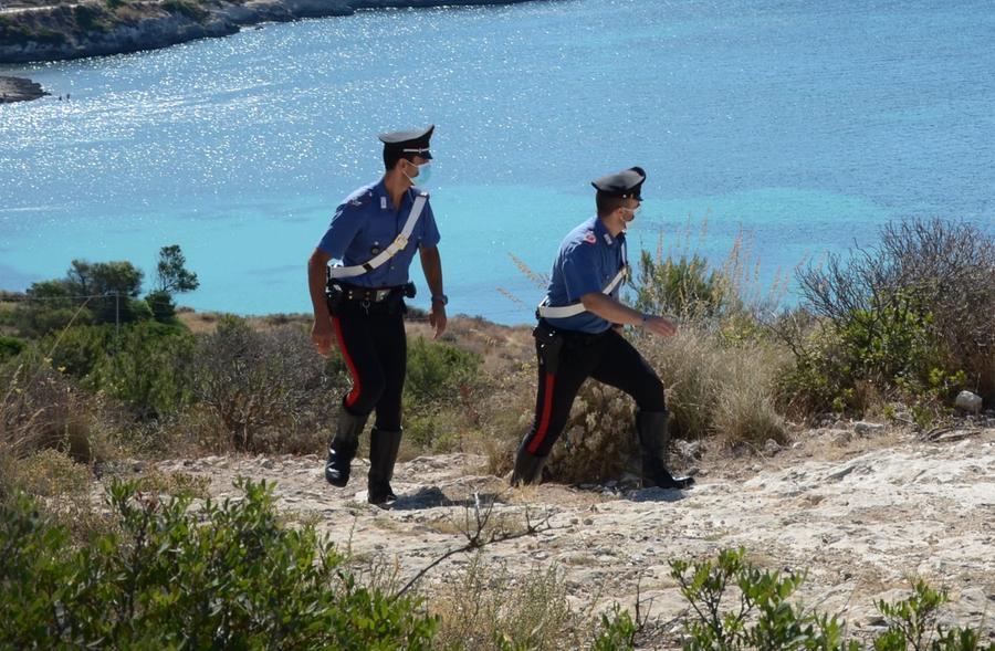 Pecore, capre e mucche al pascolo in un condominio di Castiadas: allevatore denunciato
