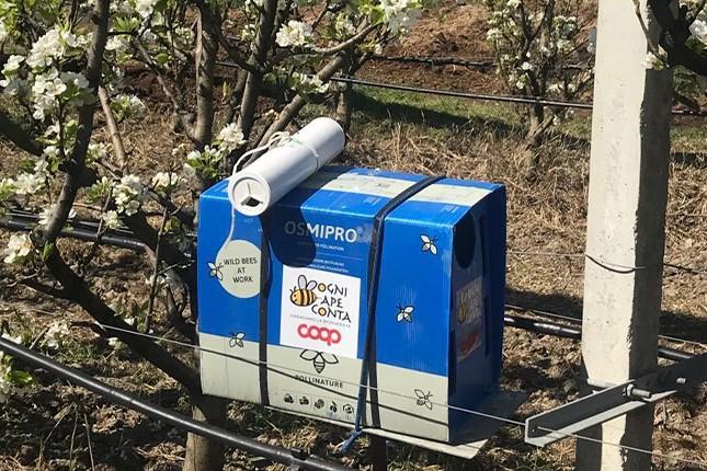 Una delle cassette del progetto di Coop intitolato “Ogni ape conta”