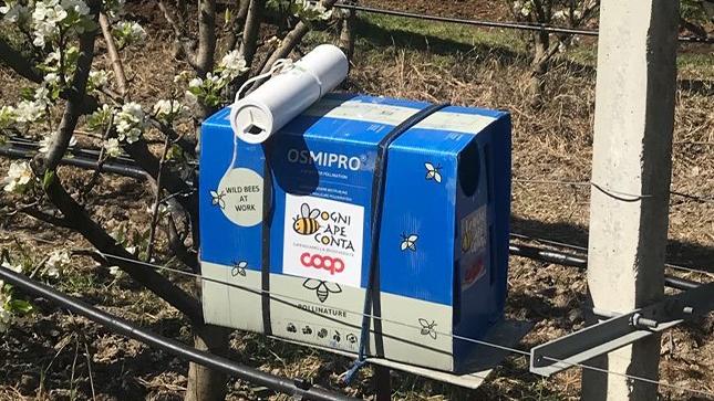 Una delle cassette del progetto di Coop intitolato “Ogni ape conta”