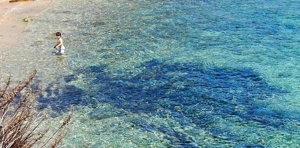 Il mare trasparente dell’Arenella nell’isola del Giglio