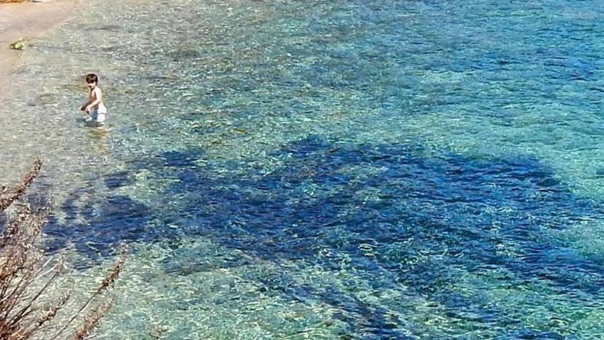 Il mare trasparente dell’Arenella nell’isola del Giglio