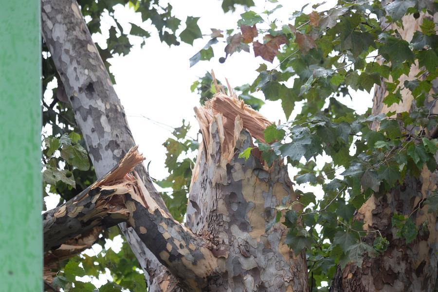 Allerta maltempo in Toscana: non è la pioggia a fare paura. Ecco perché