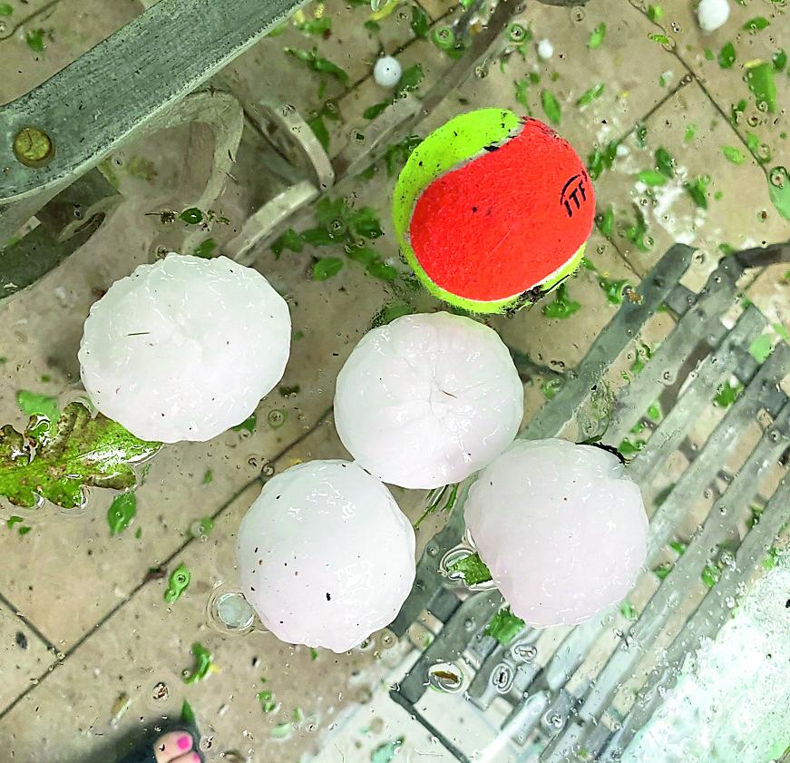 Grandine nel Modenese: guida ai risarcimenti<br type="_moz" />
