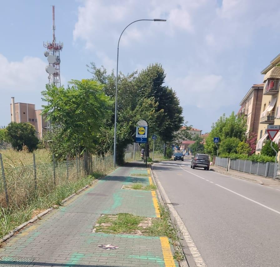 Sassuolo. Legambiente: «Via Radici, tornino le piante»<br type="_moz" />
