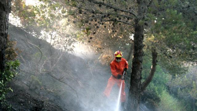 Un vigile del fuoco in azione nel bosco (foto d'archivio)